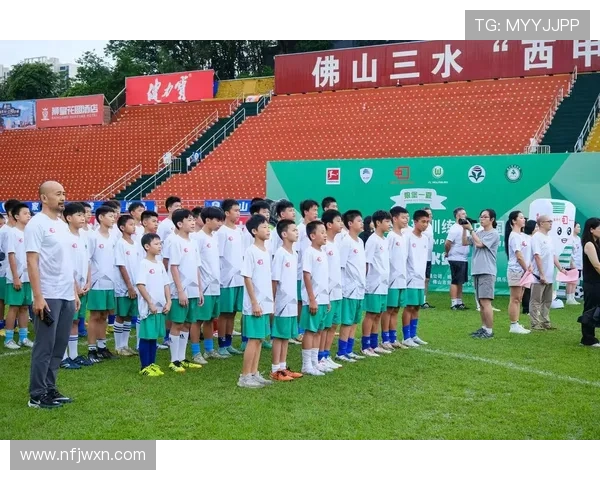 沃尔夫斯堡足球俱乐部的辉煌历程与未来发展潜力分析