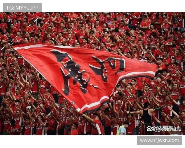 全面解析中国足球顶级赛事中超联赛的发展历程与辉煌成就