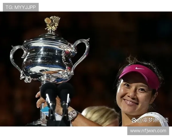 网球大满贯赛事按时间顺序排列解析及历史回顾