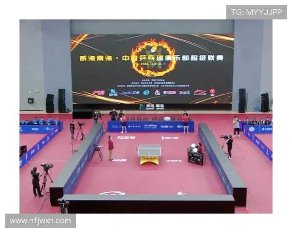 聚焦欧洲赛场深入了解德国乒乓球甲级联赛各支劲旅风采